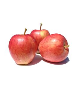 Apples, Gala (1 kg)