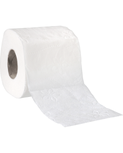 Toilet Paper (12 rolls)